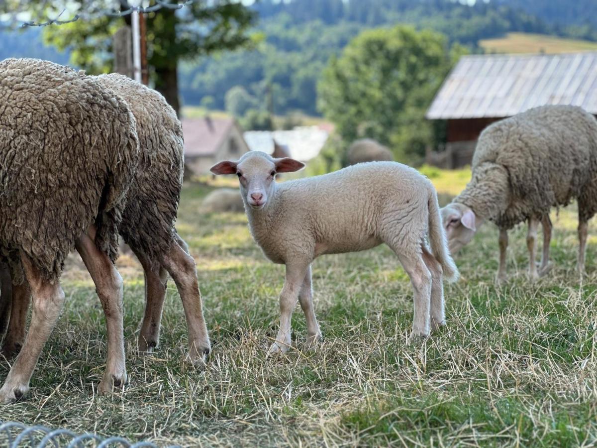 Penzion Hrubjak Oravská Polhora エクステリア 写真